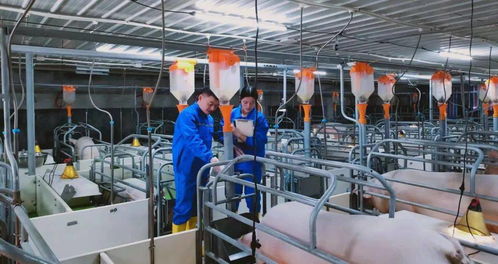 傲農(nóng)食品鉅惠上線,邀您嘗鮮過(guò)年